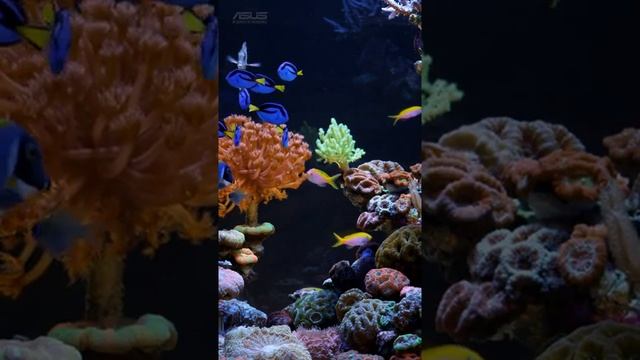 Природа смотреть онлайн