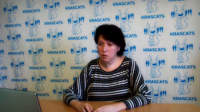 Кормление кошек смотреть онлайн