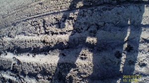 хожу по деревне,разговариваю с другом, показываю места