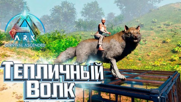 Волк, Пещеры, Скарабей и Всё для Теплицы - ARK Survival Ascended #16