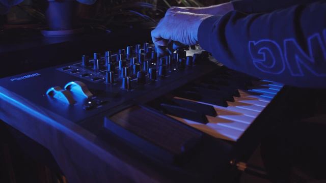 Arturia Polybrute #2 | Winterdagen смотреть онлайн