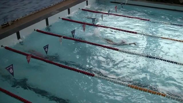 Заработала медали / Соревнования по плаванию / Донецк СК