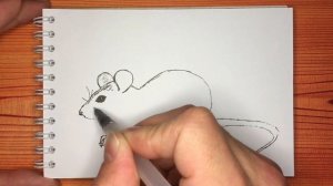 Как нарисовать мышь (мышку)