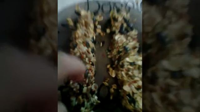 Как сделать палочки для крыс смотреть онлайн