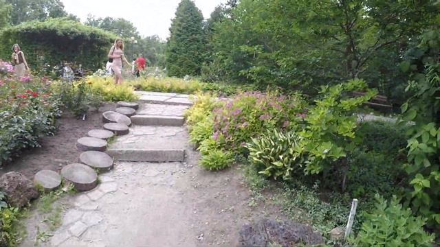 Владивосток,ботанический сад_розы и пионы.27 июня 2021 года. смотреть онлайн