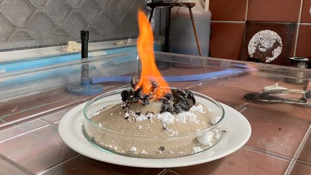 Fire Snake Demo Experiment смотреть онлайн