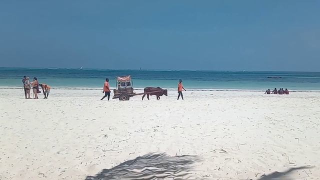 VOI Kiwengwa resort 2022, Zanzibar смотреть онлайн