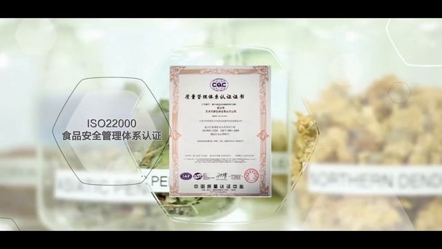 Международное сотрудничество смотреть онлайн