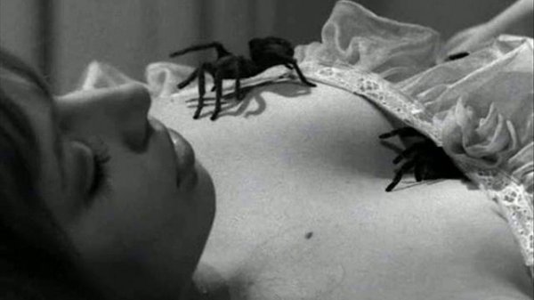 Страшная колыбельная дили дили бом!