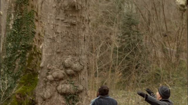 Muhteşem Yüzyıl: Kösem 41. Bölüm