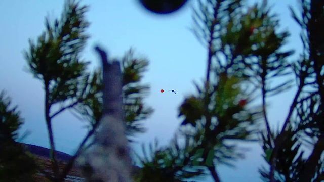 Точные выстрелы снятые на Шоткам #5 \ shotkam gen 4 смотреть онлайн