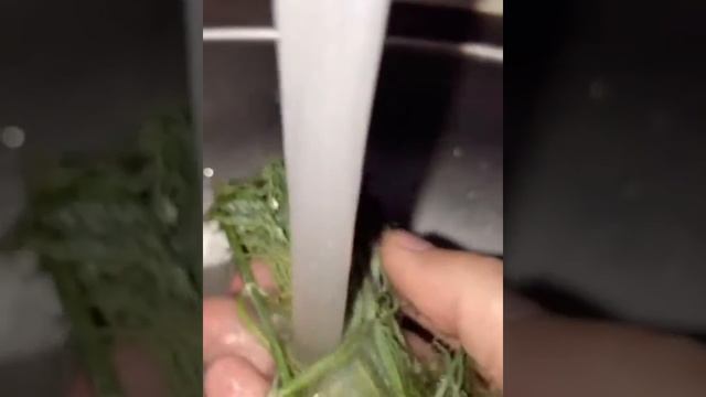 Рецепт простых , и в тоже время очень вкусных драников ! Результат вас удивит ?????? смотреть онлайн