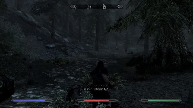 freed stormcloak runs into rock смотреть онлайн
