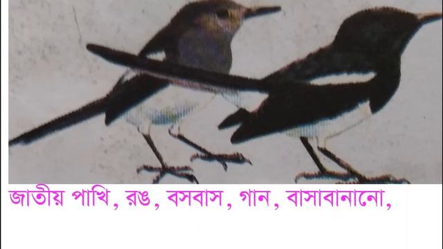 তৃতীয় শ্রেণি, বিষয বংলা, смотреть онлайн