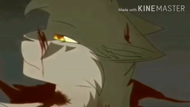 Клип коты воители(бежит по краю света) смотреть онлайн