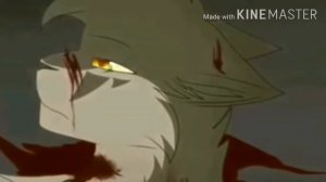 Клип коты воители(бежит по краю света)