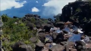 Сура Аль Фатиха, аль Ихлас, аль Фалак, ан Нас , аят аль Курси и дуа