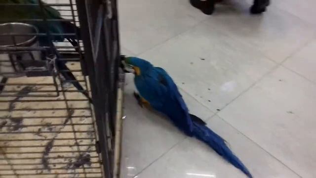 Контактный зоопарк смотреть онлайн