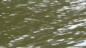 с ХЕРАБУНОЙ за ЛИНЁМ