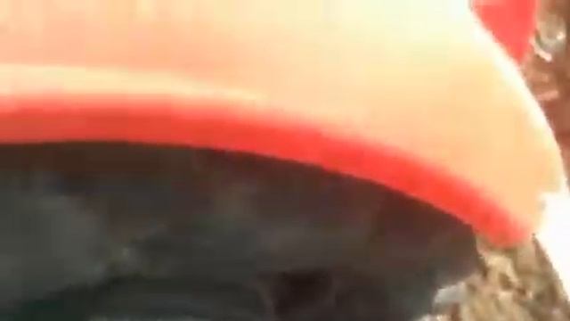 к525пр Кирюша провернуло скат на ободе . смотреть онлайн