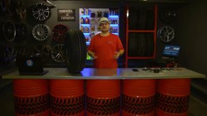 Обзор на ШИНЫ BRIDGESTONE BLIZZAK DM-V3