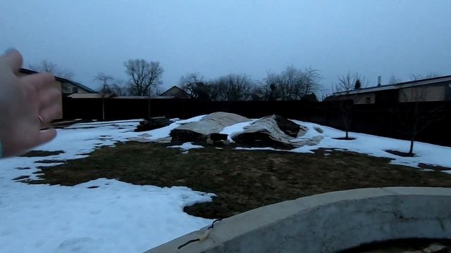 Давно"забытый"салат? Начинаются "огородные" дела смотреть онлайн