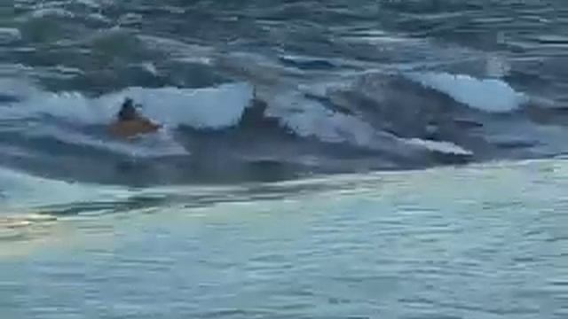 Habitat 67 Surf Kayaking смотреть онлайн