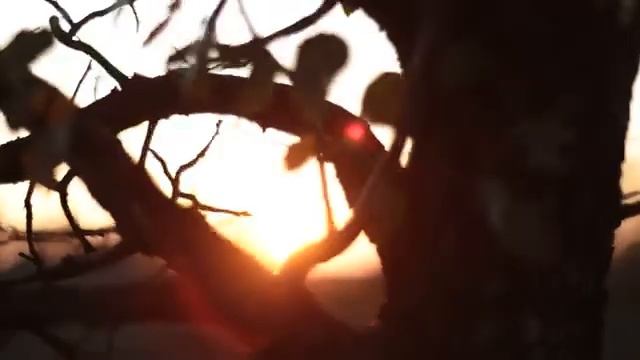 Село, с красивым названием, Садовое смотреть онлайн