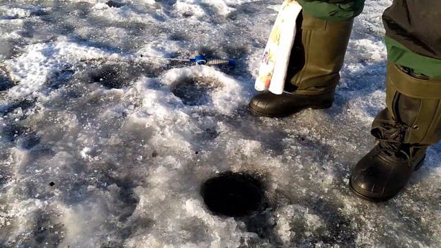 Ловля форели зимой смотреть онлайн