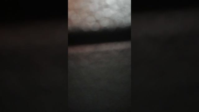 Урчание в салоне шкода рапид смотреть онлайн
