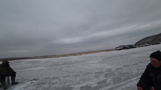 Корюшка и наважка на железо! Ловля на блесну. Рыбалка в Приморье! смотреть онлайн