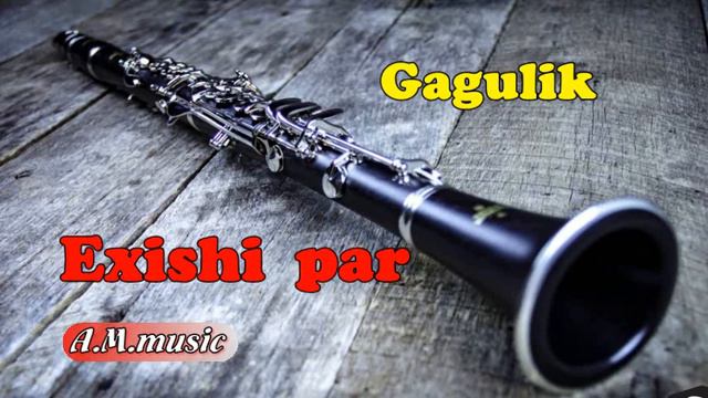Gagulik (Gagik Petrosyan) - Exishi par / Klarnet/ Գագուլիկ -Եղիշի պար / կլարնետ/ смотреть онлайн