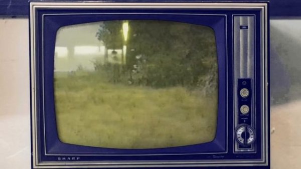 THE AMOROUS ADVENTURES OF ASHIDA KIM - LIVE READING!! [NSFW]