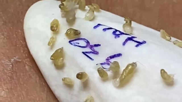 Enjoy Every Day With The Best Video Loan Nguyen Spa Official 1989 смотреть онлайн