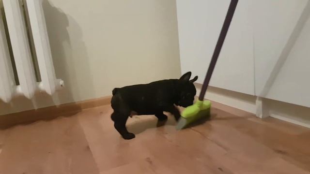 20170627 213842 багги смотреть онлайн