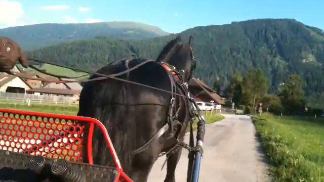 Friesenhengst VIPs vor dem Wagen.MOV смотреть онлайн