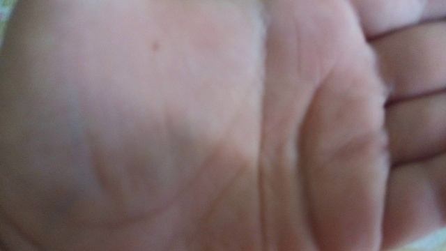 первая анимация смотреть онлайн