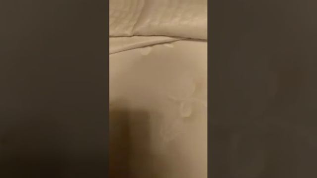 отзыв о матрасе ARMOS Comfort Hard смотреть онлайн