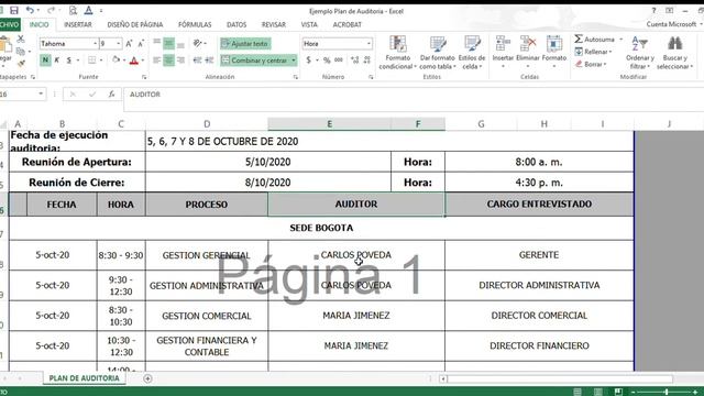 Ejemplo Plan de Auditoria Excel смотреть онлайн
