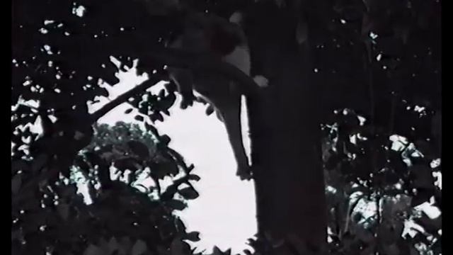 にいちゃん助けてくれよー1988-02-08 смотреть онлайн