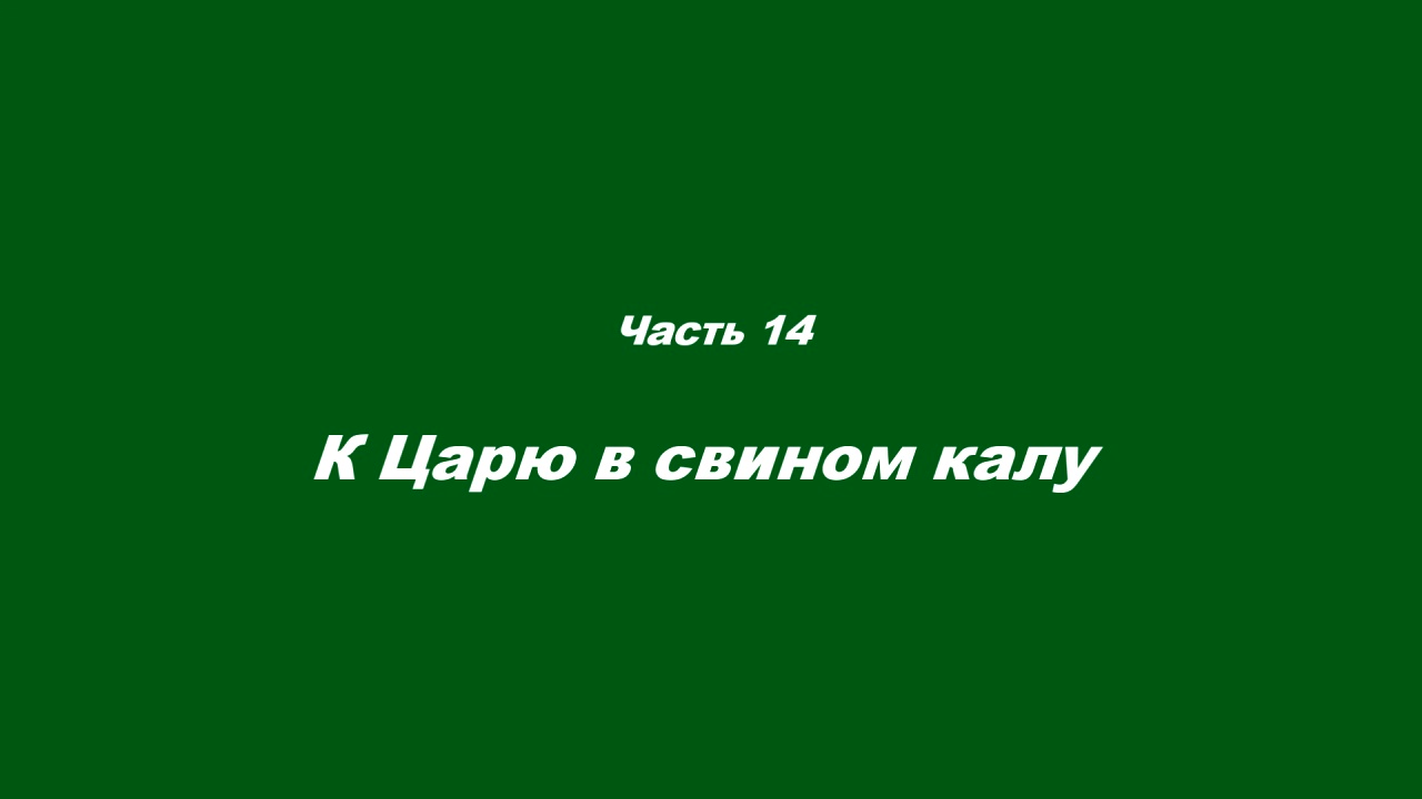 Причастие. Часть 14. К Царю в свином калу смотреть онлайн