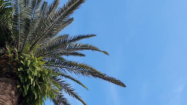 Decorate the office campus of Bien Dong Seafood Company.... December 14, 2021 смотреть онлайн