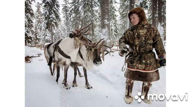 одежда народа ханты