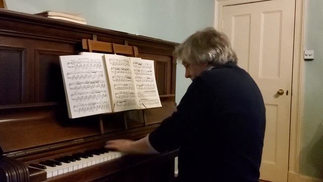 Chopin Nocturne in E flat смотреть онлайн
