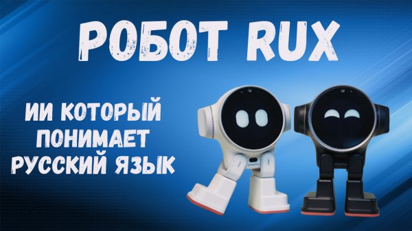Обзор робота Rux, который понимает русский язык