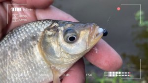 В поисках весеннего Карася. Мормышинг