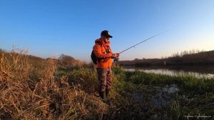 СПИННИНГ ДЛЯ ТВИЧИНГА. Daiwa Ninja z ts 702. Тест. Обзор.