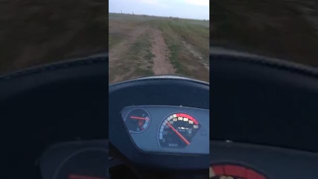 Обзор СКУТЕРА PEDA GTS 50 смотреть онлайн