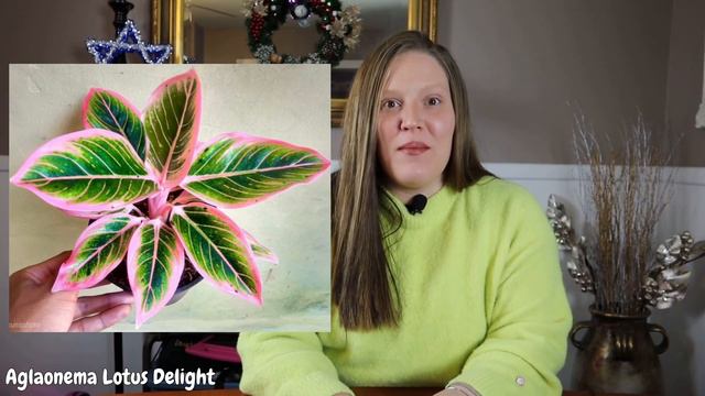 2021 Houseplant WISHLIST! ||14 RARE Plants|| смотреть онлайн