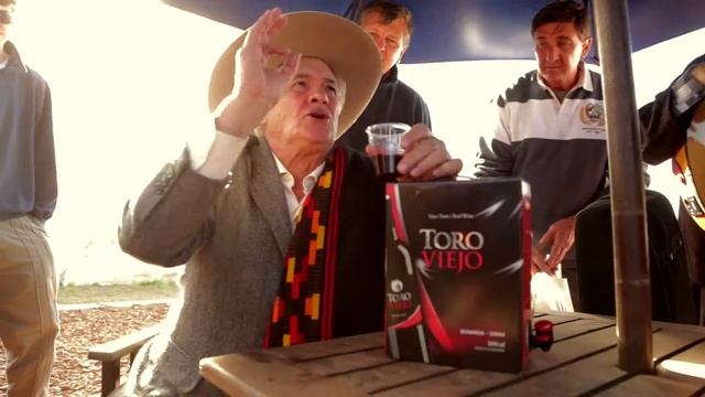 TORO VIEJO - AGROACTIVA 2015 смотреть онлайн